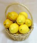 Муляж искусственный лимон (темно-желтый)