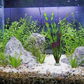 Искусственные растения для аквариума — какие лучше?