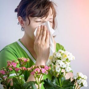 Искусственные цветы и аллергия
