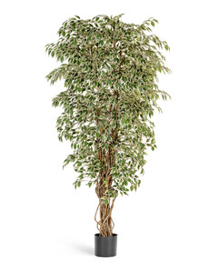 Фикус искусственное дерево (гавайский лиана)