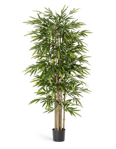 Бамбук новый натуральный