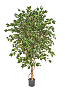 Фикус искусственное дерево (бенджамина де люкс)