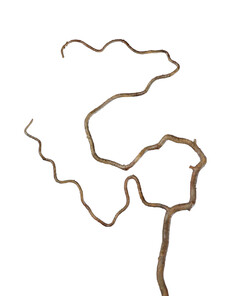 Ветка искусственная салекс изогнутый (коричневая)
