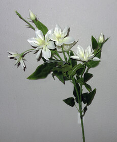 Клематис искусственный с цветами ветка (белый)