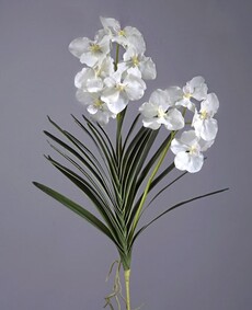 Орхидея искусственная ванда с листьями и корнями