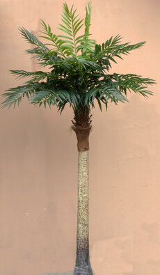 Пальма искусственная финиковая