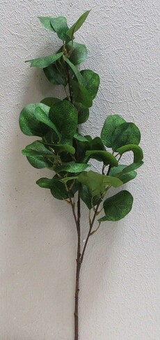 Эвкалипт искусственный круглый ветка (зеленый)