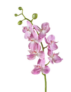 Орхидея искусственная ветка (фаленопсис,розово-белая)