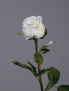 Роза искусственная (эсперанса мидл (белая)