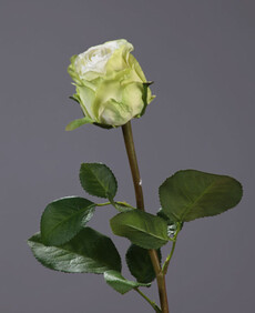 Роза искусственная ветка (эсперанса мидл (бело-зеленая)