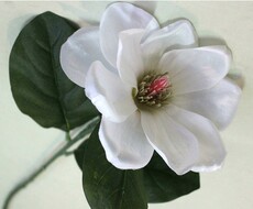 Магнолия искусственная цветок на ветке (белая)