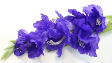 Гладиолус искусственный ветка (фиолетовый)