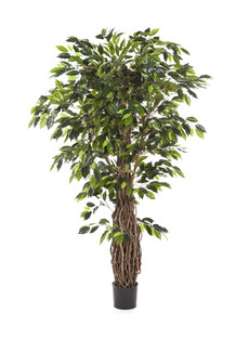 Фикус искусственное дерево (бенджамина лиана де люкс)