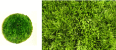 Трава искусственная шар аспарагус