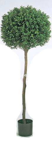 Самшит искусственное дерево