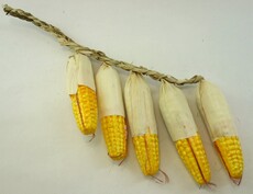 Муляж искусственный (кукуруза)