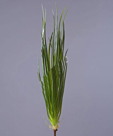 Трава искусственная осока куст (зеленый пучок)
