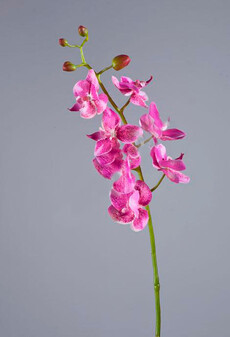Орхидея искусственная фаленопсис элегант (сиреневая)