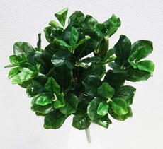 Питтоспорум искусственный латекс куст (зеленый)