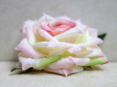 Роза искусственная головка (бело-розовый)