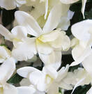 Ампельный искусственный куст (орхидея (белая)