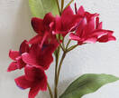 Орхидея искусственная ветка (красная)