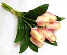 Тюльпан ветка (бело-розовый)