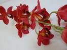 Орхидея искусственная ветка (цимбидиум,красная)
