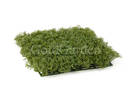 Фитооснова искусственная (газон) трава мох (зеленый)