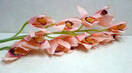 Орхидея искусственная ветка (цимбидиум,розовая)