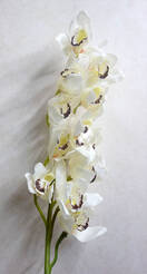 Орхидея искусственная ветка (цимбидиум,кремовый)