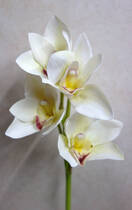 Орхидея искусственная ветка (цимбидиум,белая)